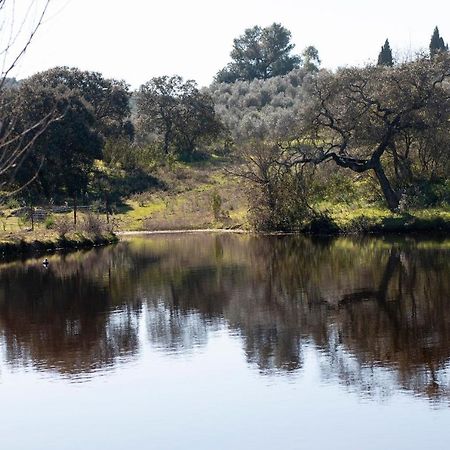 ラ・プエブラ・デ・ロス・インファンテス Casa Cortijo En Dehesa Sierra Leonヴィラ エクステリア 写真