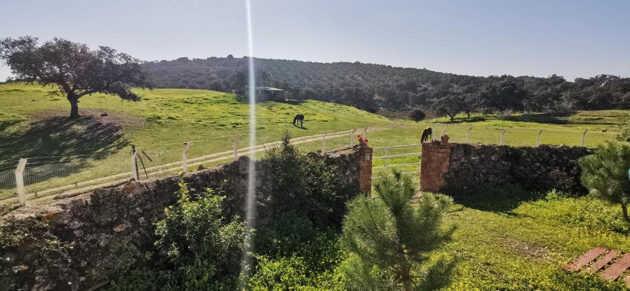 ラ・プエブラ・デ・ロス・インファンテス Casa Cortijo En Dehesa Sierra Leonヴィラ エクステリア 写真